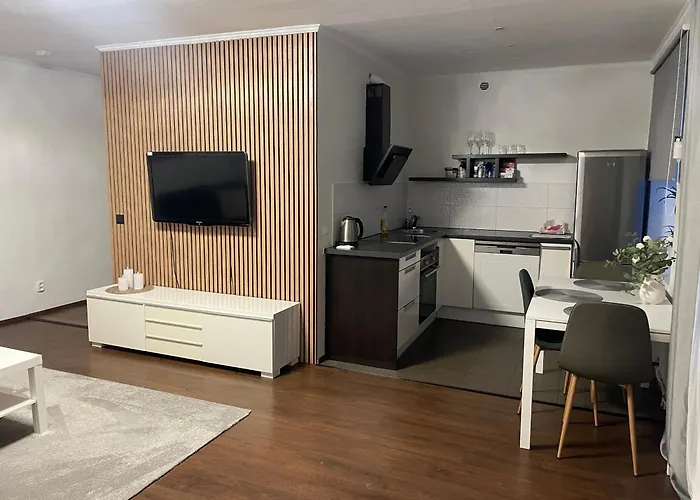 Laane Apartment Voru